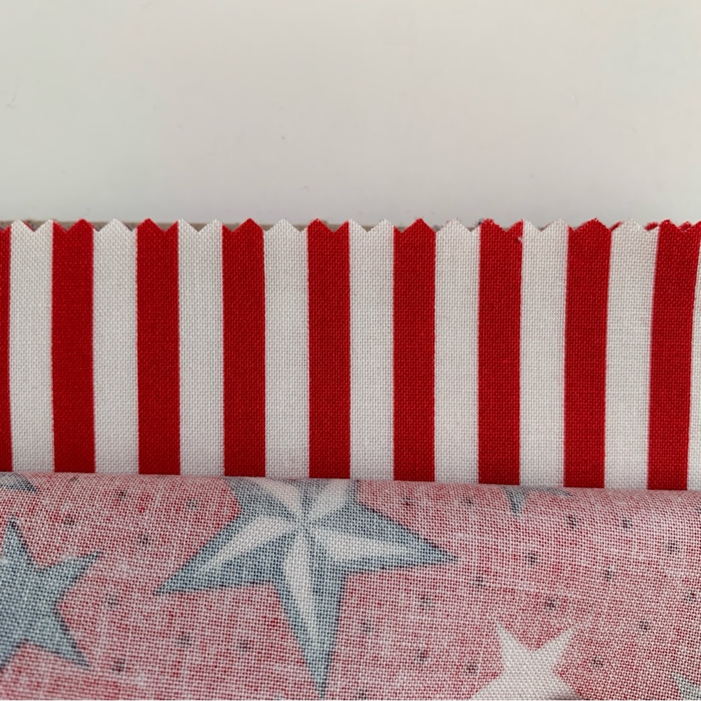 RILEY BLAKE DESIGNS Lost & Found America 5” Square Stacker Charm Pack Fabric NWT - Picture 8 of 14